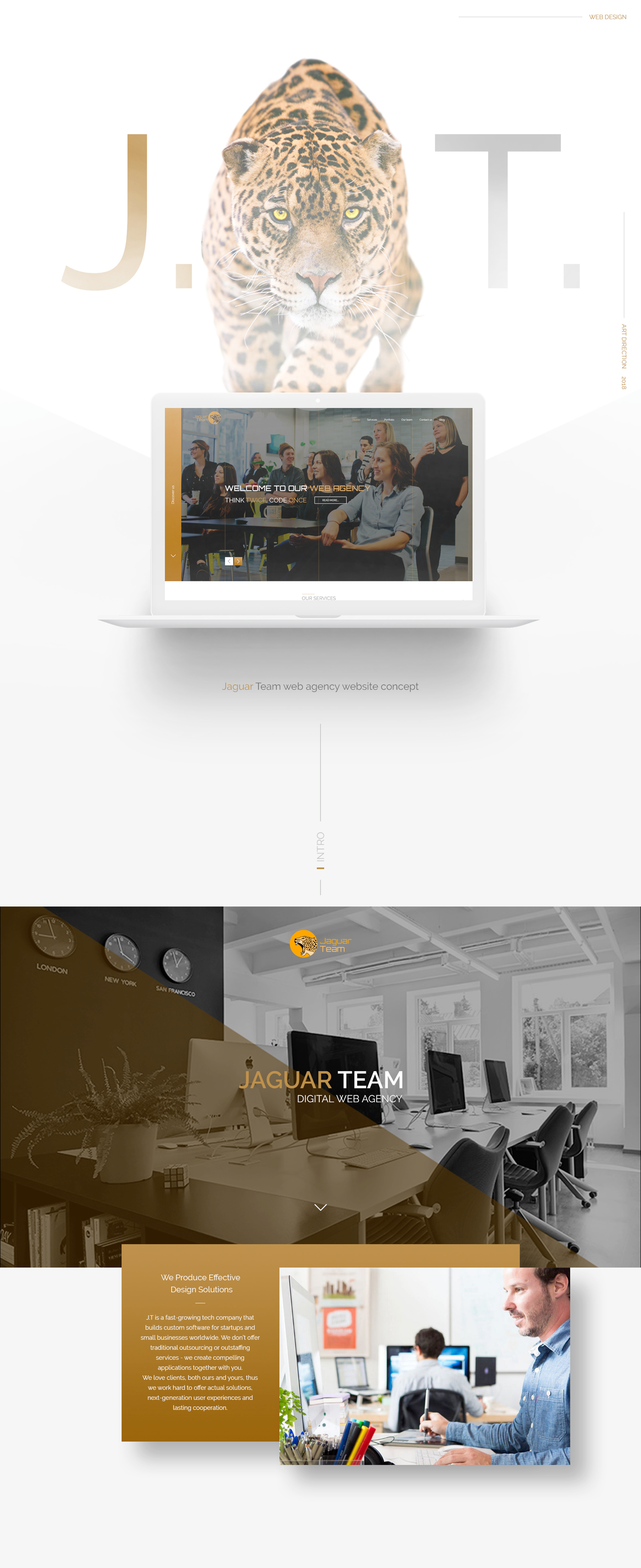 Entry 223536 in &quot;Jaguar Team&quot; web agency by APM2 studio