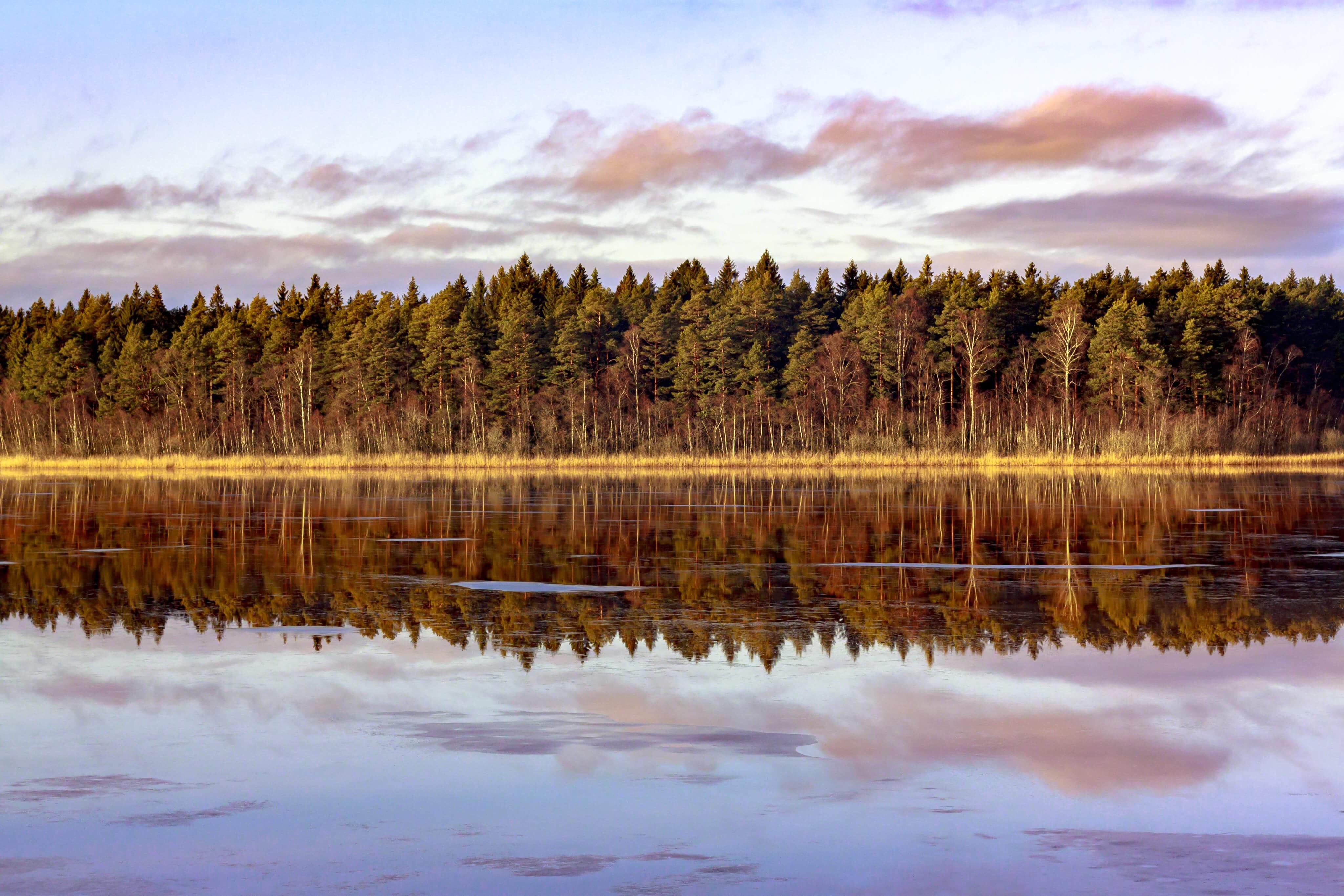 Entry 154707 in Photography by Creation Forest