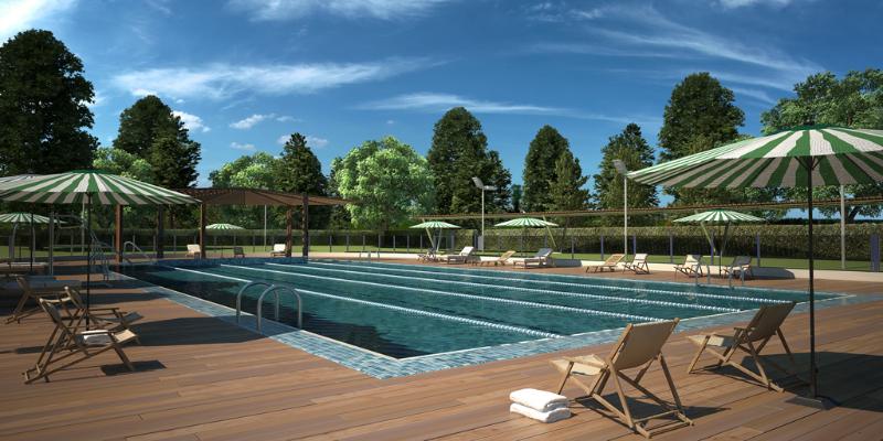 Entry 44694 in Portfolio by פנקין דוד