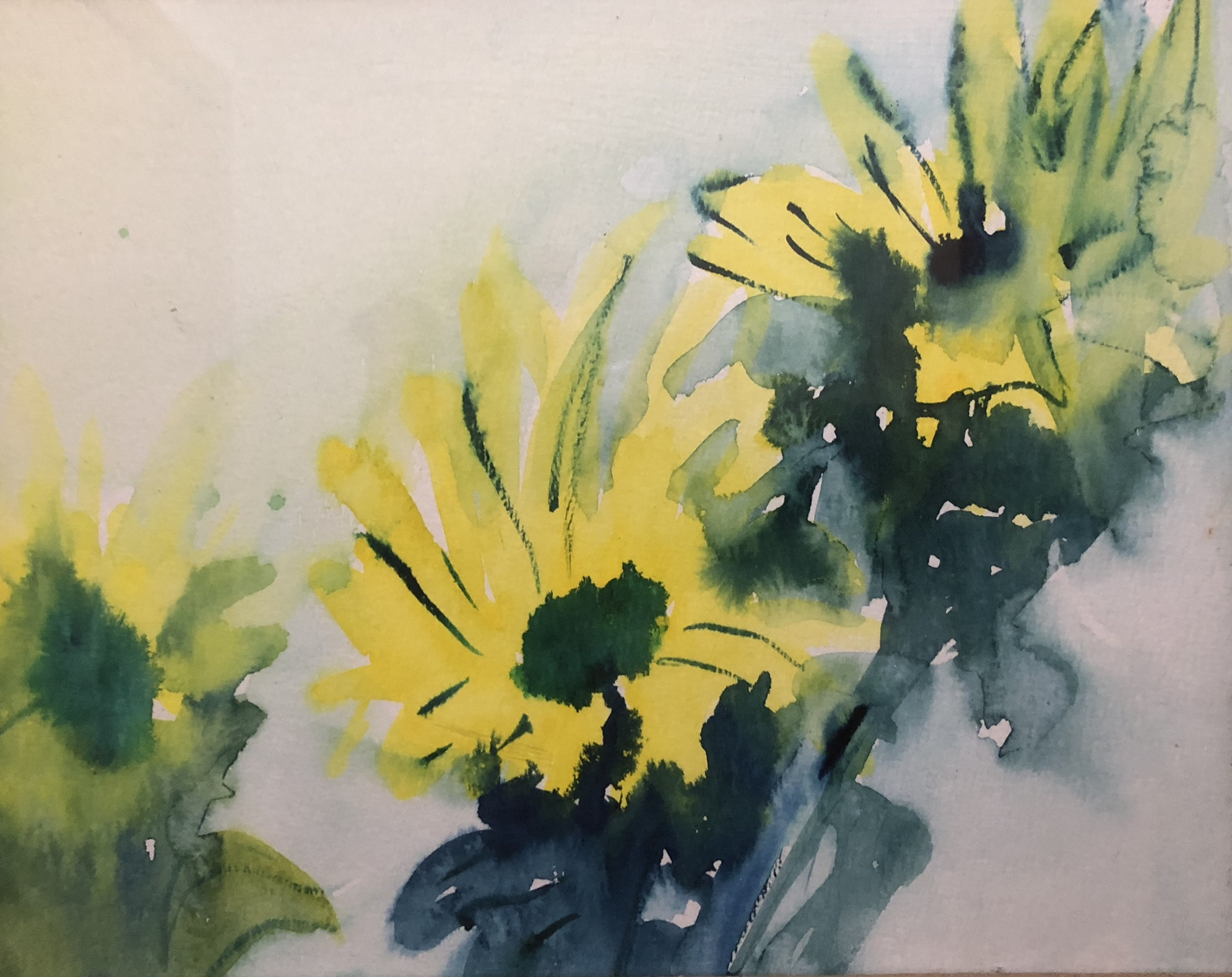 Entry 263409 in Portfolio by Gal Cohen