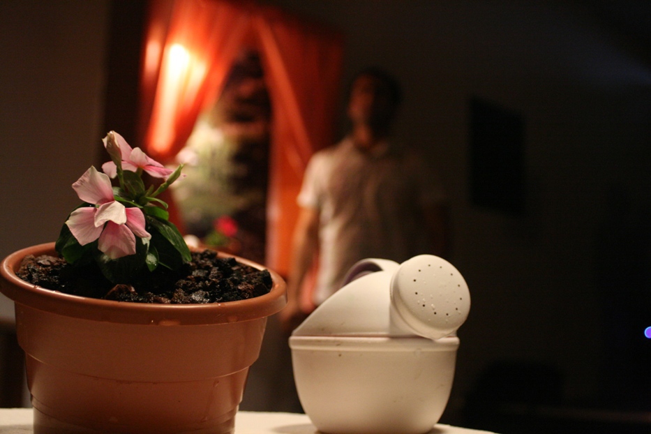 Entry 145307 in Roseta&#39;s Flowers by FLUX Strategic Design