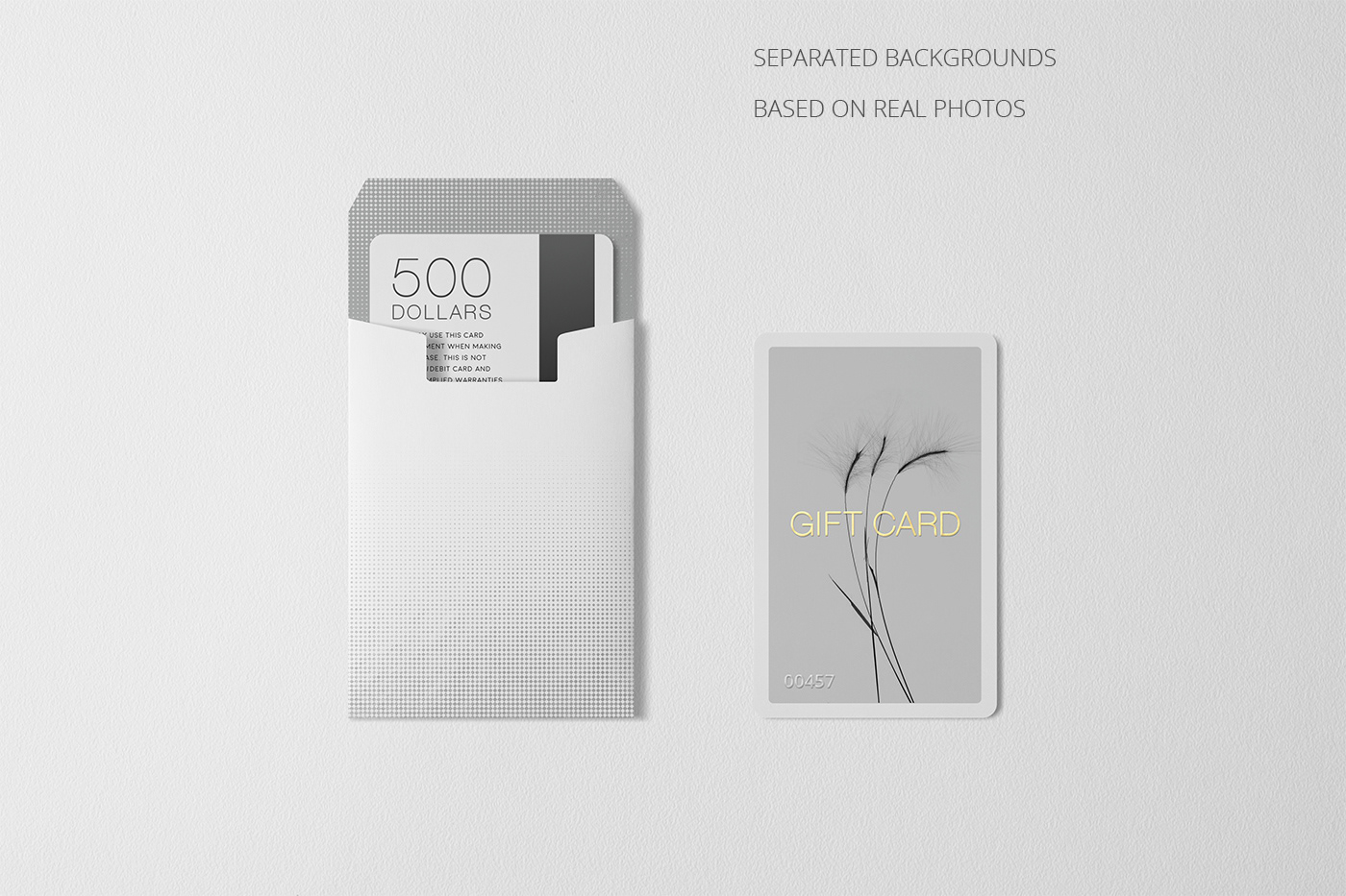 Entry 234932 in Multipurpose Holder&Card Mockup Vol 8.0 by Clevery Design