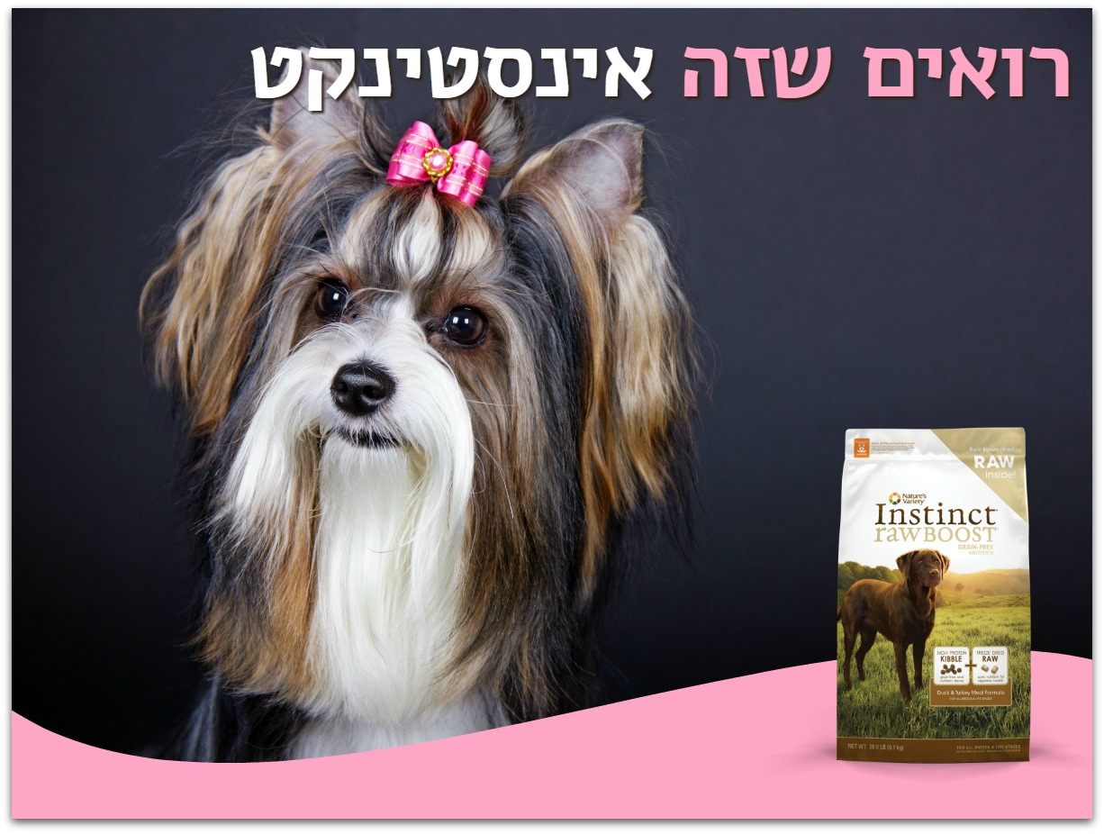 Entry 87283 in בעלי חיים :) by Orit Slama
