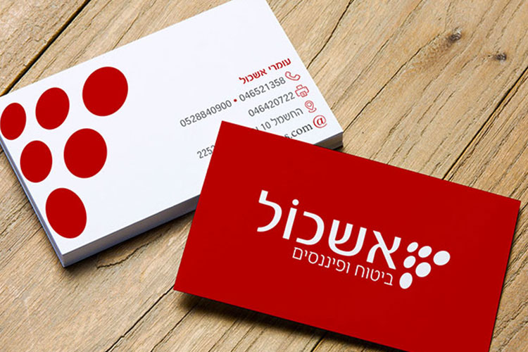 Entry 134360 in Portfolio by מירב רייכל