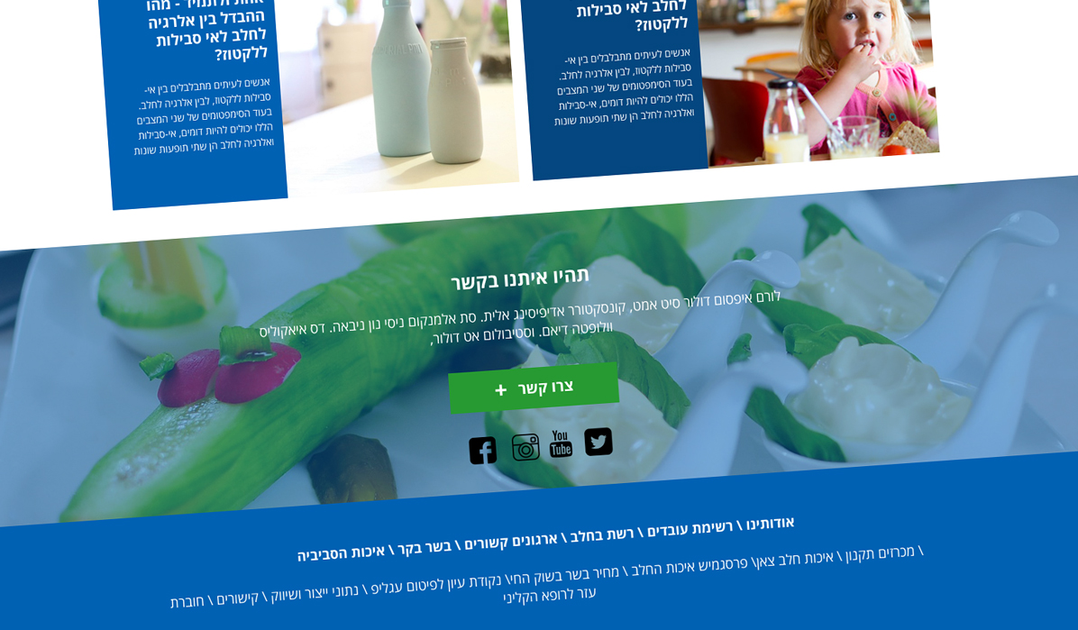 Entry 107147 in WEB DESIGN by riki weigarten- Designer