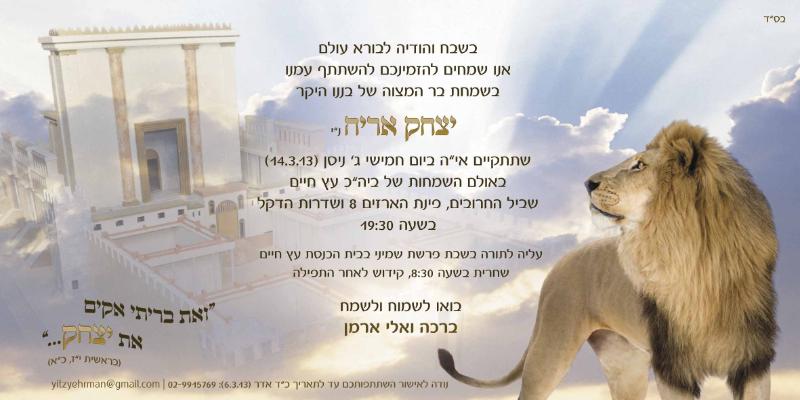 Entry 51241 in Portfolio by סטודיו עליזה