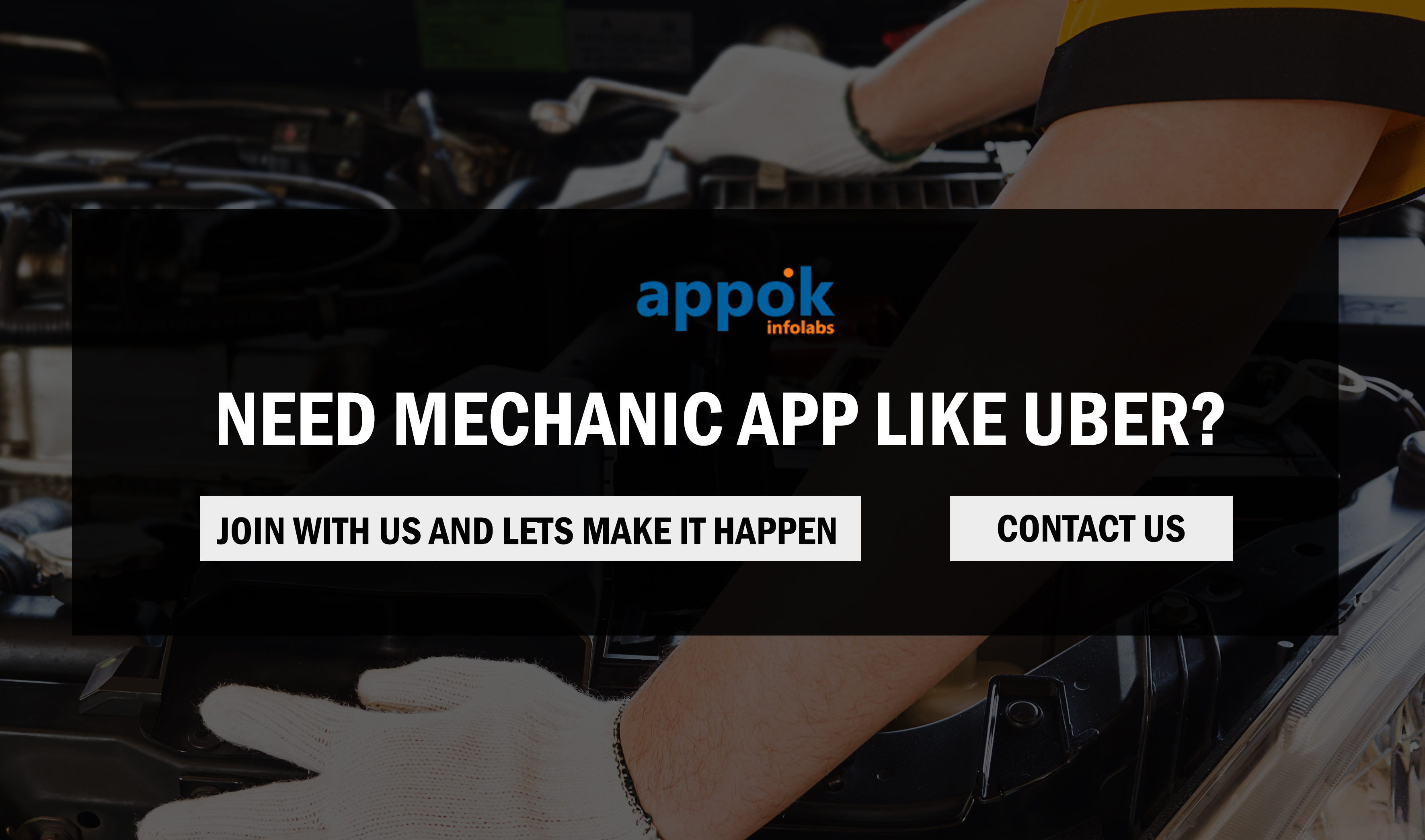 Entry 208281 in Portfolio by Appok Infolabs