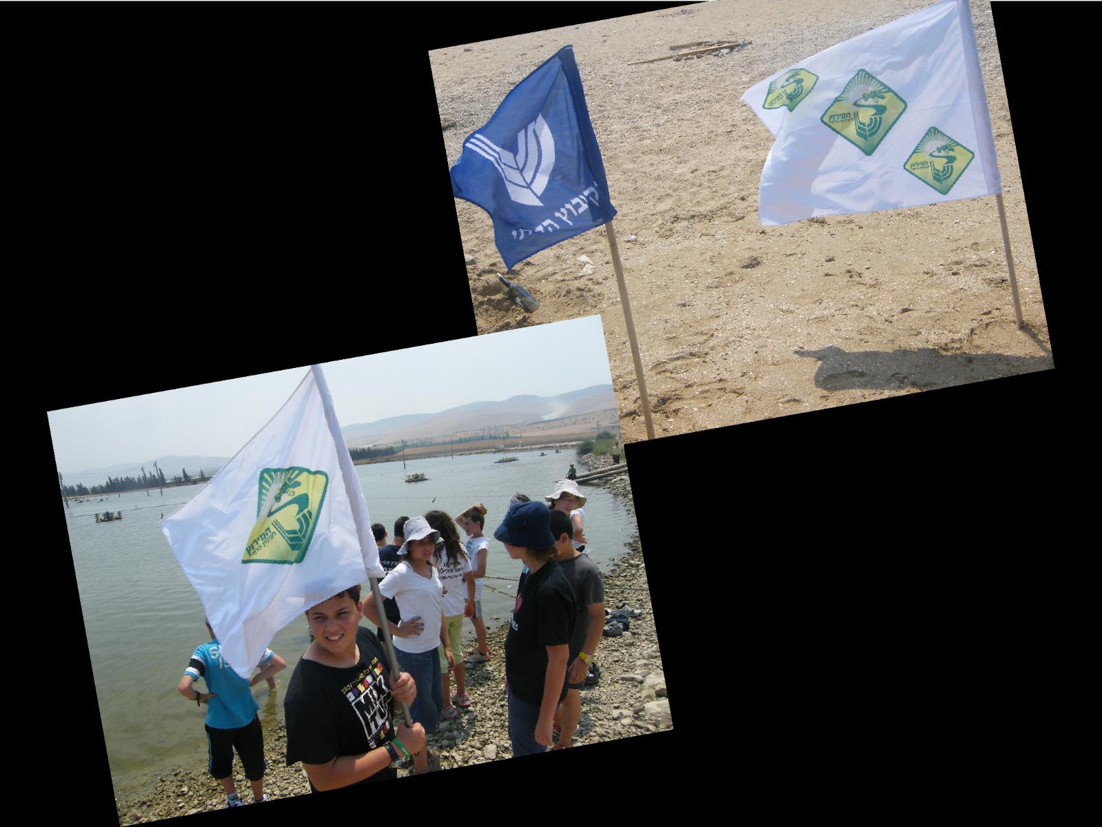 Entry 63252 in Portfolio by ורד דיטור