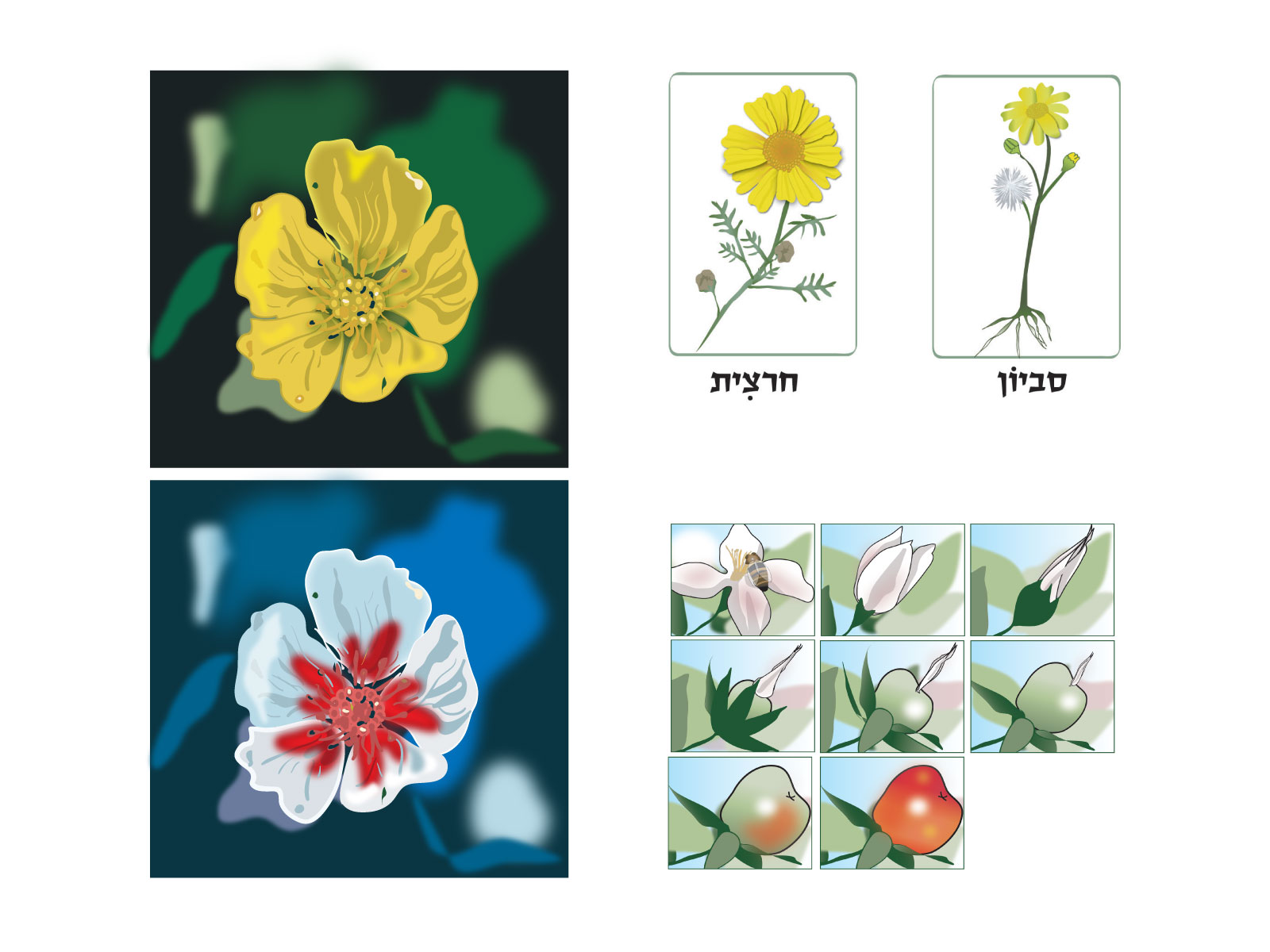 Entry 84592 in Portfolio by סטודיו שרון עמלני