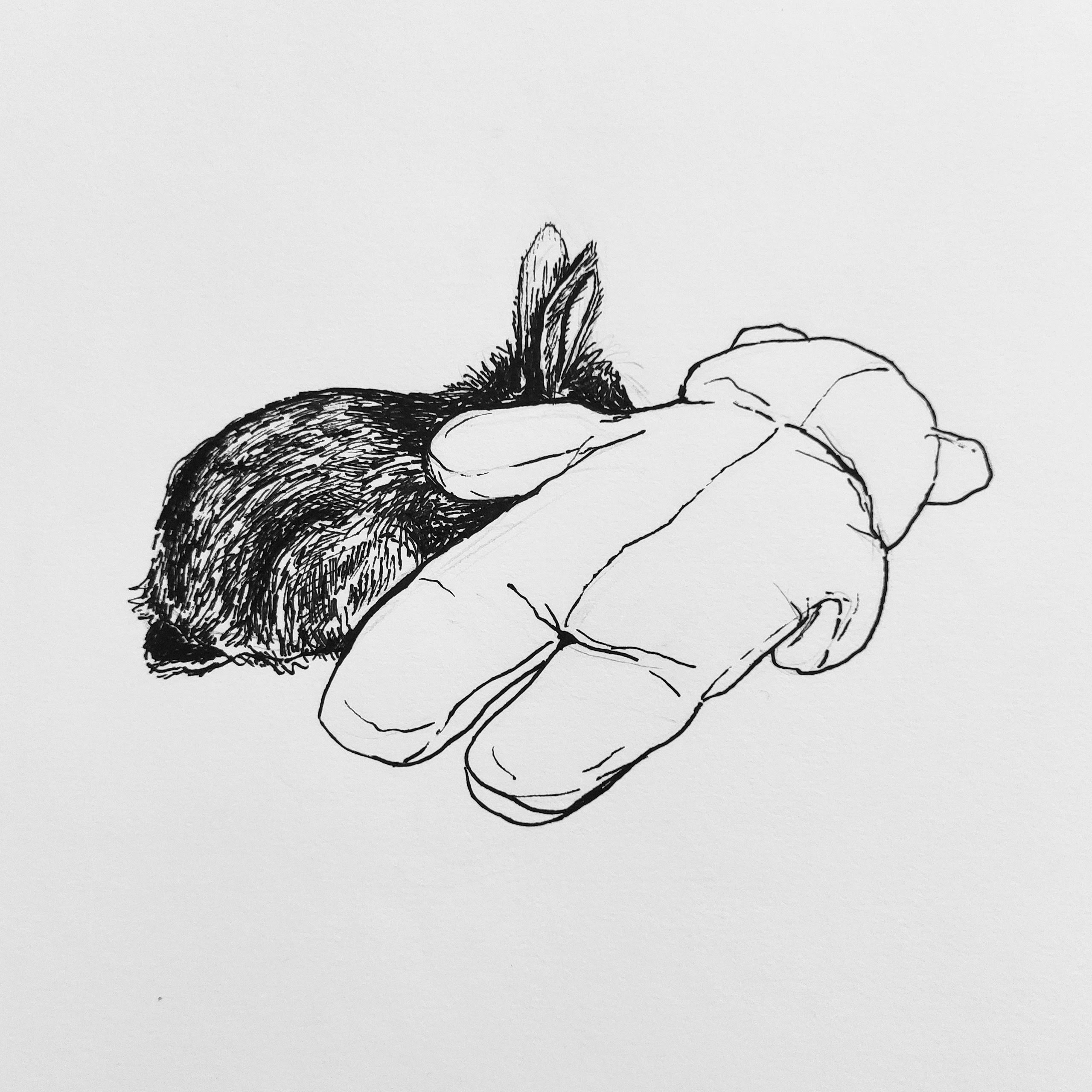 Entry 242475 in Portfolio כללי by מעיין ברקוביץ