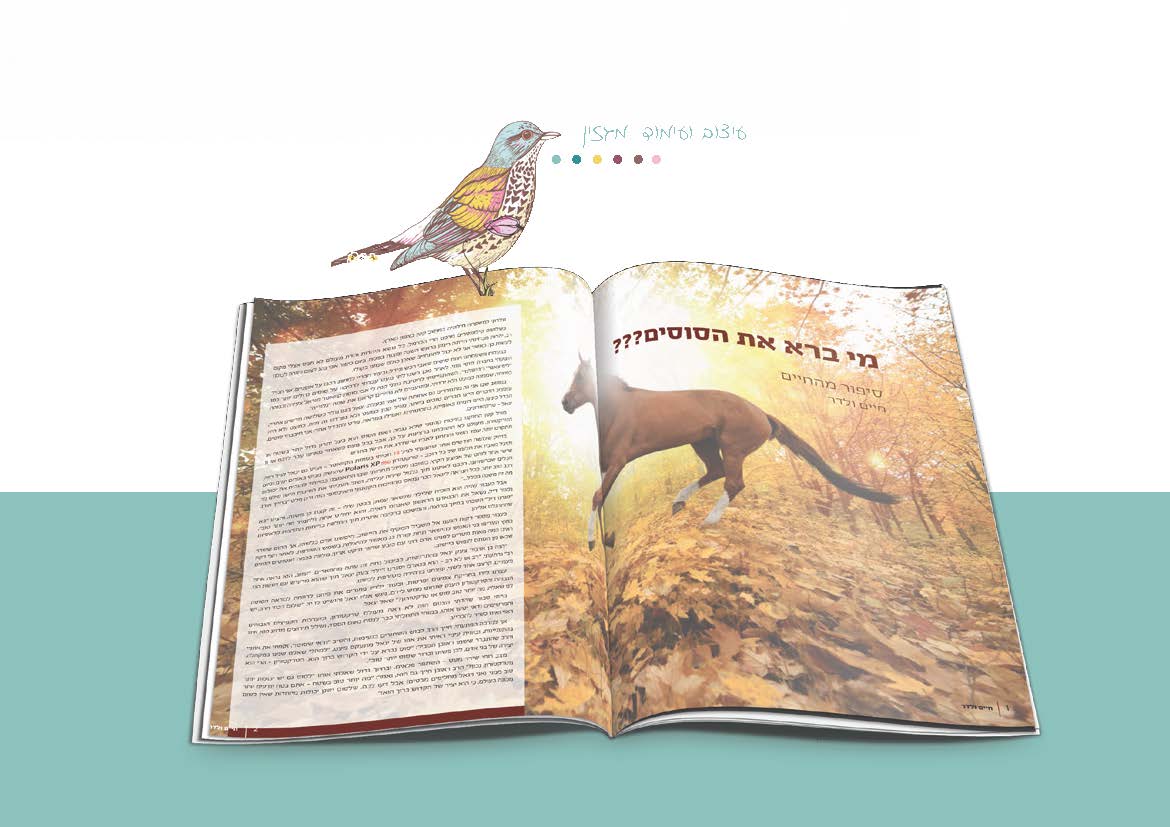 Entry 105285 in Portfolio by Huvi Kook