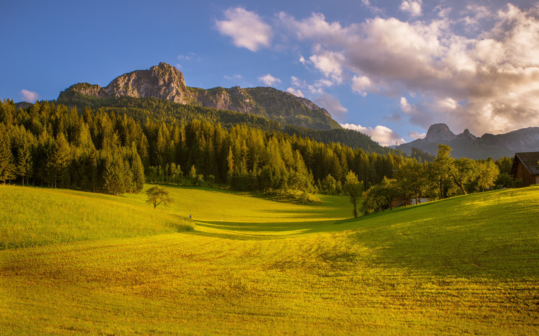 Entry 121383 in Landscapes by Ron Stollman Photography