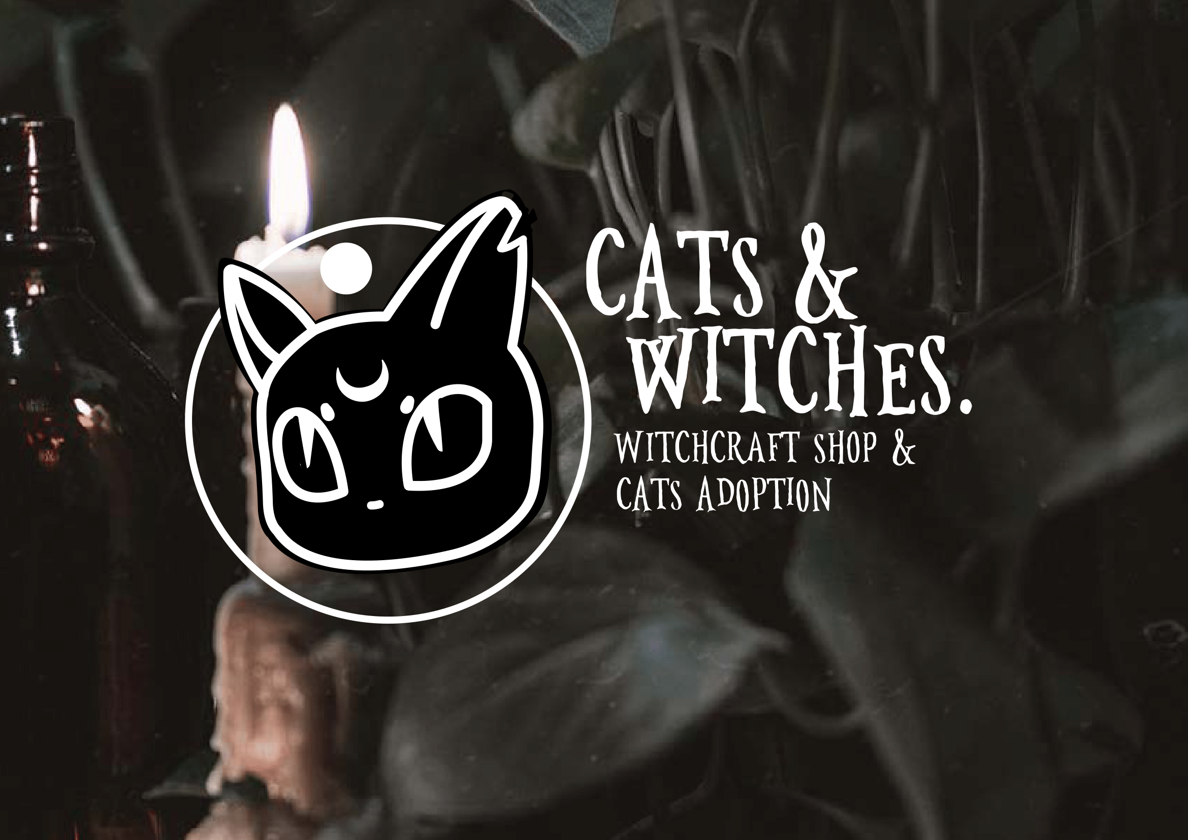 Entry 286595 in CATS&WITCHES - עיצוב מותג by Yottaneko