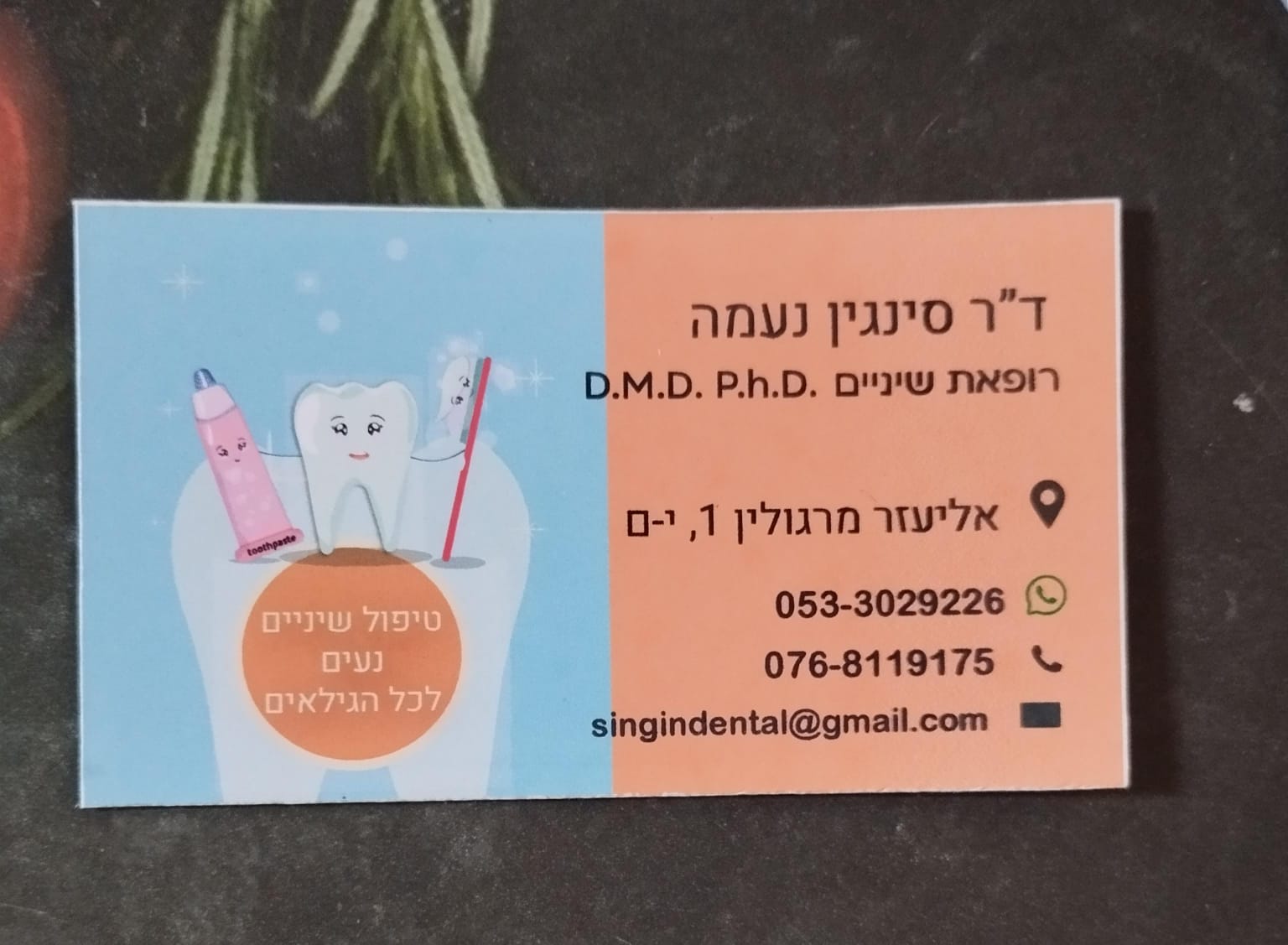 Entry 337303 in Portfolio by עצמי