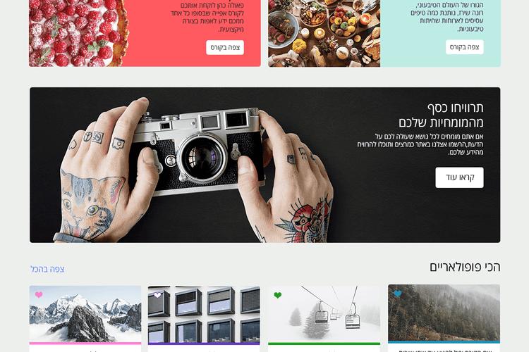 Open Zoomed Related Entry Myco_gallery_05d.png