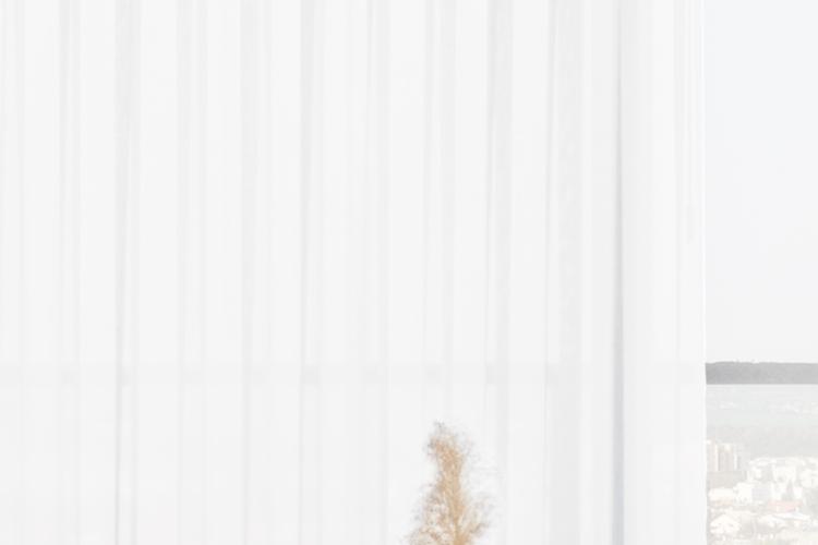 Open Zoomed Related Entry 1 (1).jpg