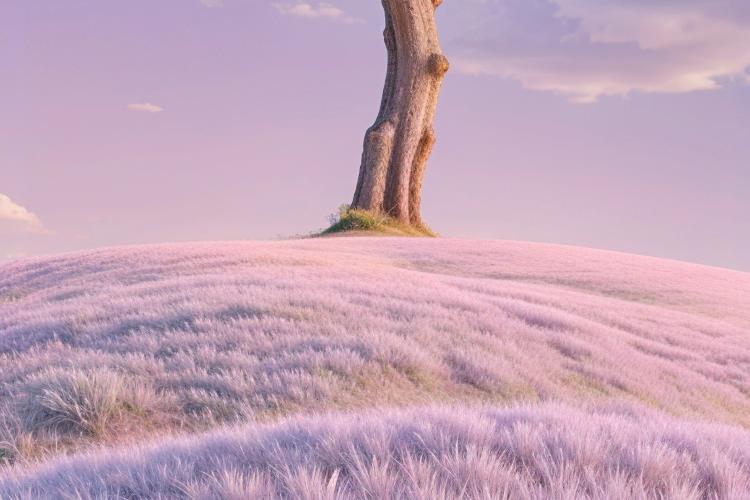 Open Zoomed Related Entry 3d-rendering-dreamy-landscape.jpg