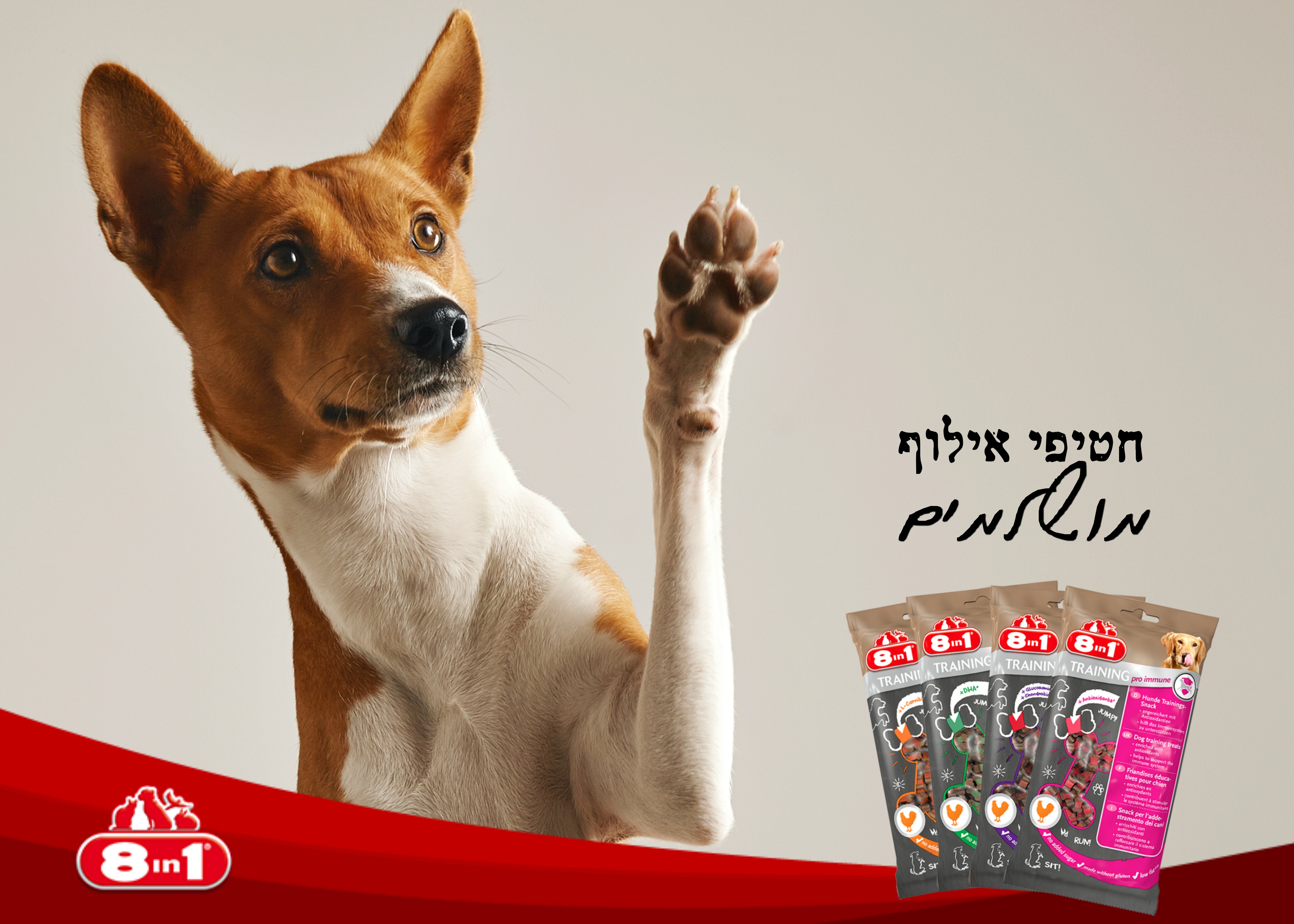 Entry 254731 in בעלי חיים :) by Orit Slama