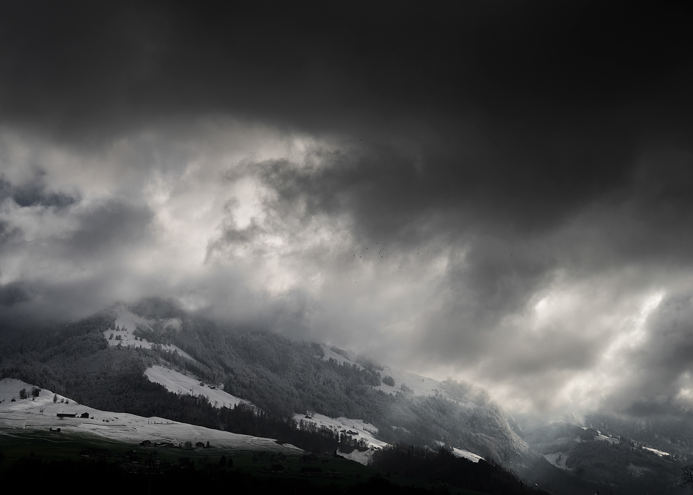 Entry 141650 in SWISS by DigitalMind