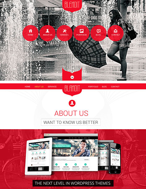 Entry 182653 in Blendit - One Page WordPress Theme by SKT Themes