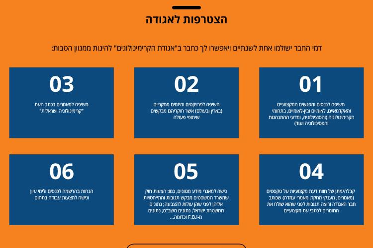 Open Entry 142597 in Portfolio by טו לינק בע&quot;מ