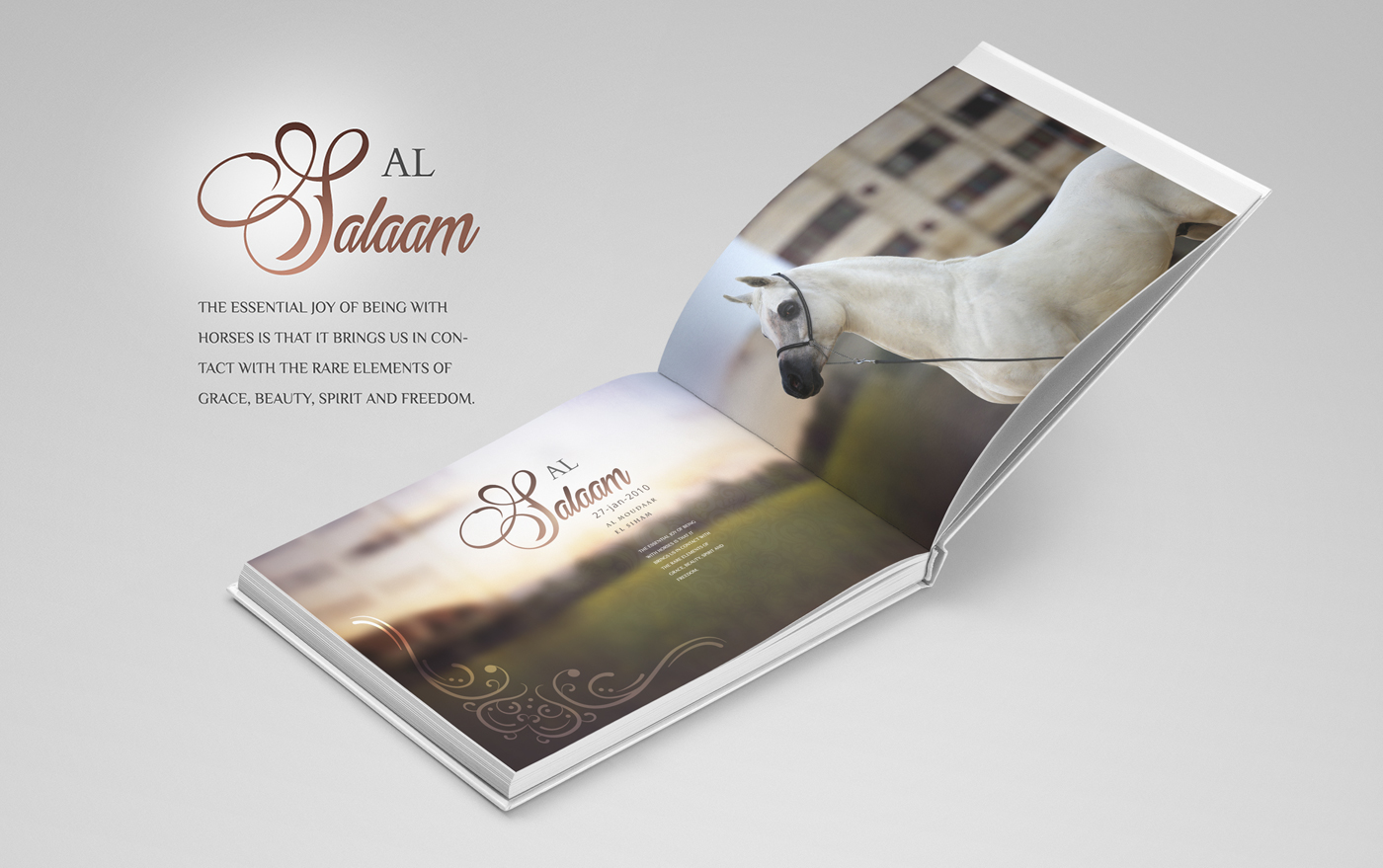 Entry 143062 in AL ASAYIL Catalogue by Haweya company