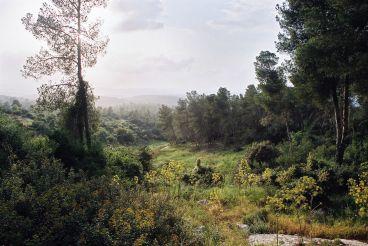 Open Zoomed Related Entry Landscapes samples