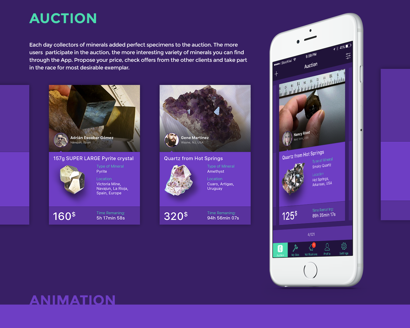 Entry 81664 in Minerals Auction App for iOS by SteelKiwi Inc.