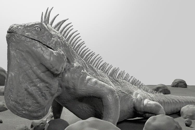 Open Zoomed Related Entry Iguana_01.png
