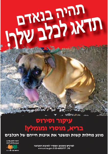 Entry 18313 in Portfolio by שירן - סטודיו לעיצוב גרפי