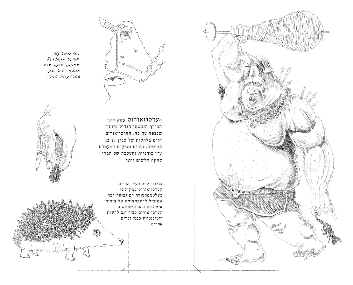 Entry 63652 in Portfolio by adam soffer illustration & design
