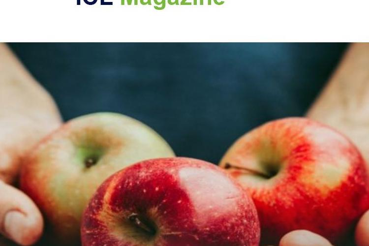 Open Zoomed Related Entry iclmag.JPG