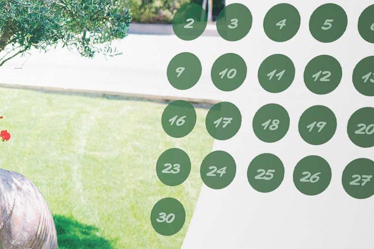 Open Zoomed Related Entry Calendar.jpg