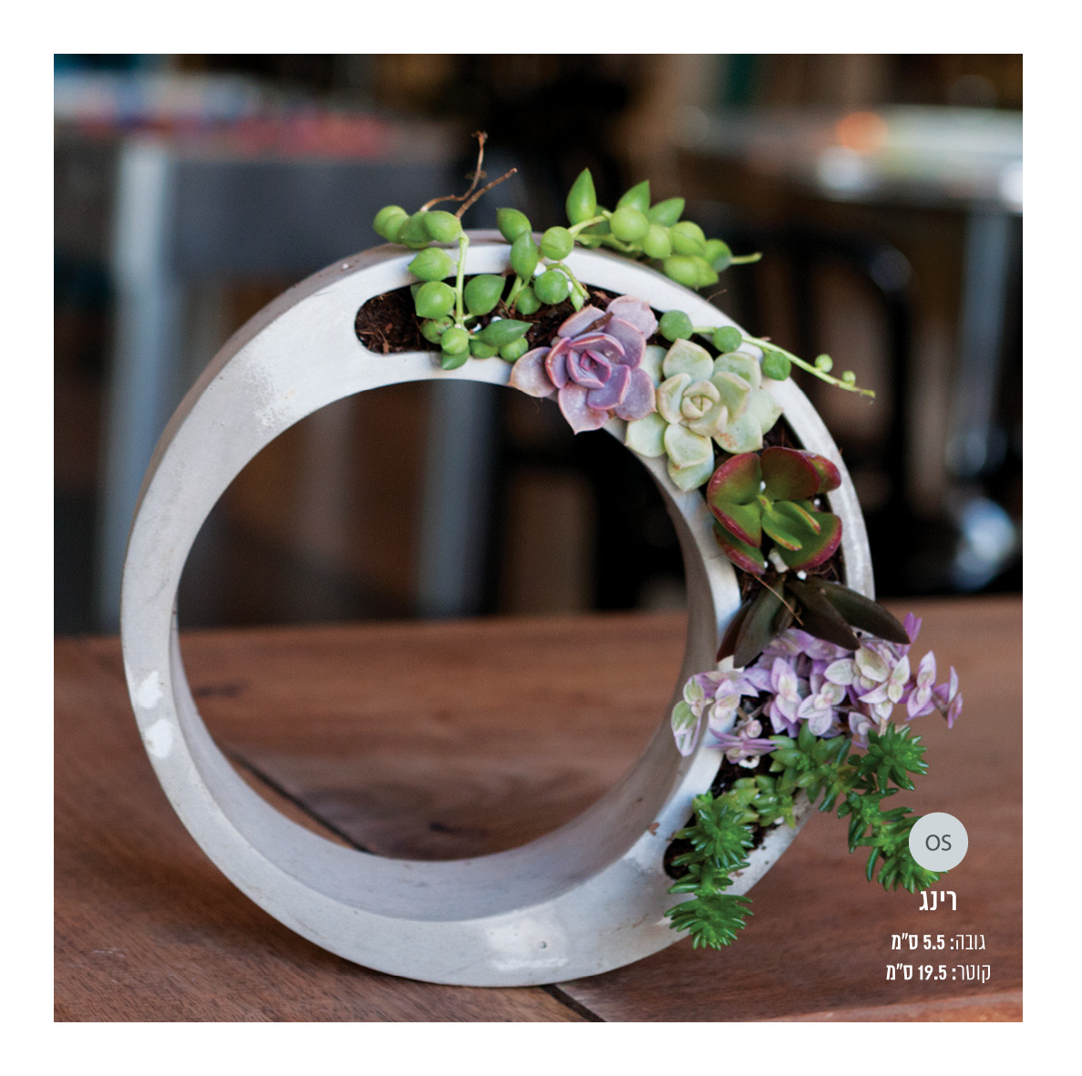 Entry 206564 in Green Me - צילום והפקת קטלוג by Anona design