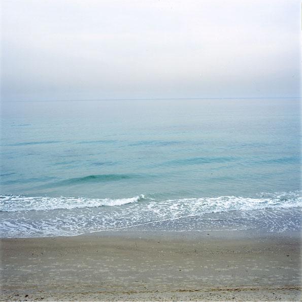 Entry 7217 in Portfolio by דניאלה הורבין- צלמת