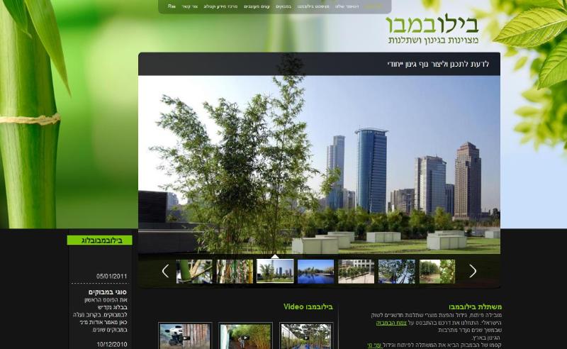 Entry 20220 in Portfolio by דני גולן Web-Traffic