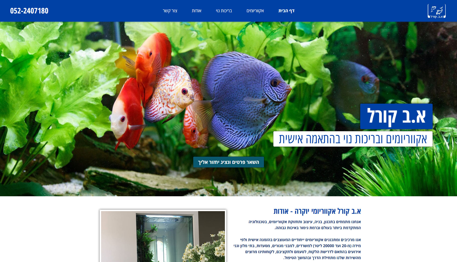 Entry 156847 in Portfolio by יוסי טק