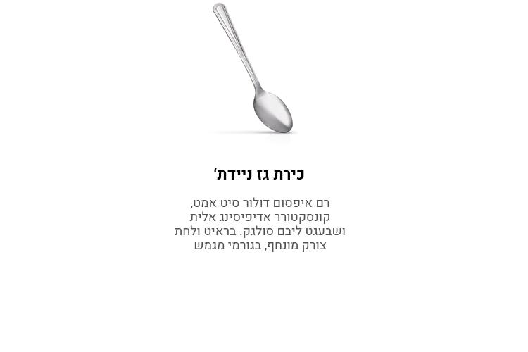 Open Zoomed Related Entry אתר חנות לחברת NGL