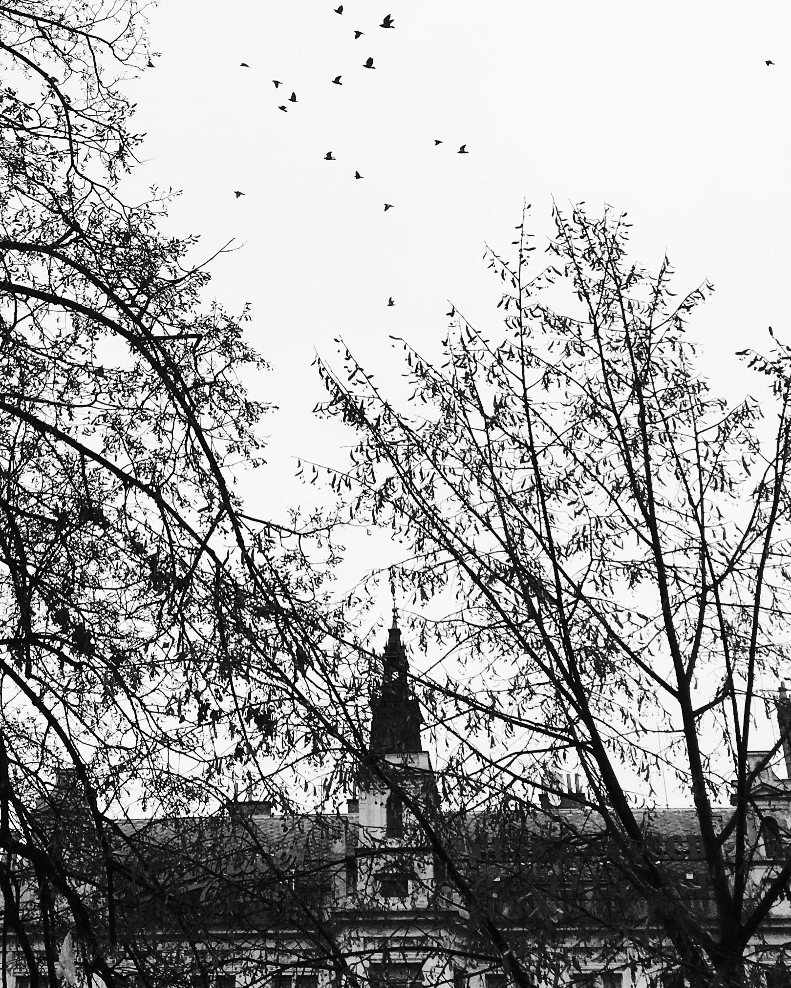 Entry 212017 in Portfolio by Yesterday is Forever Photography
