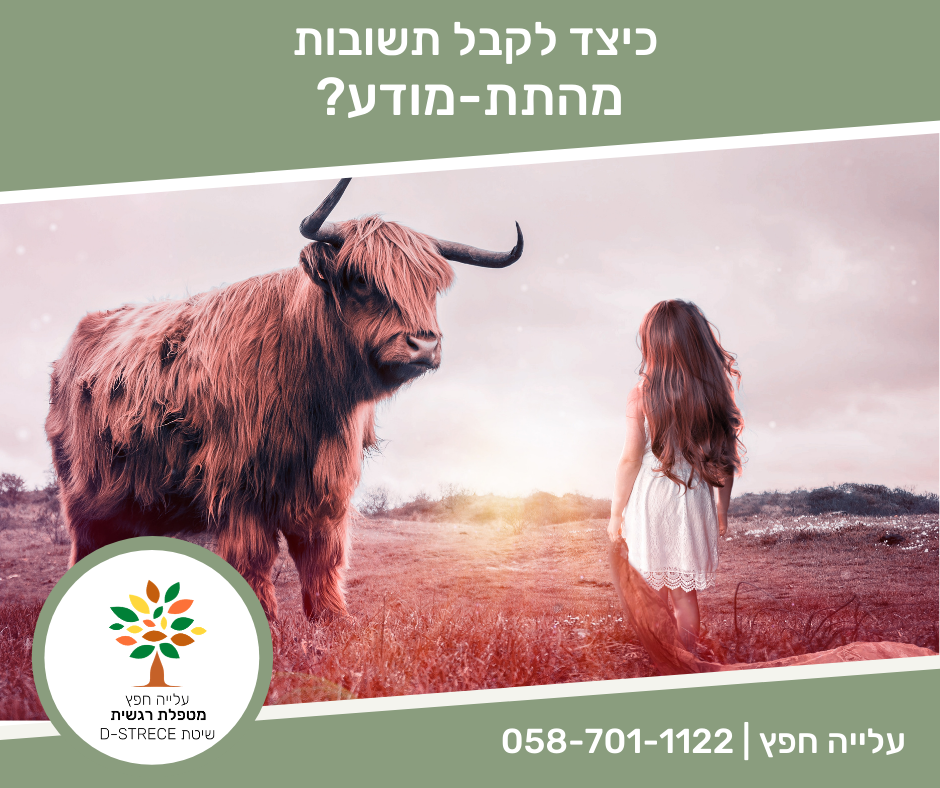 Entry 256272 in קמפיינים by וואי - פרסום דיגיטלי