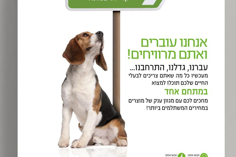 Open Zoomed Related Entry dogistyle AD.jpg