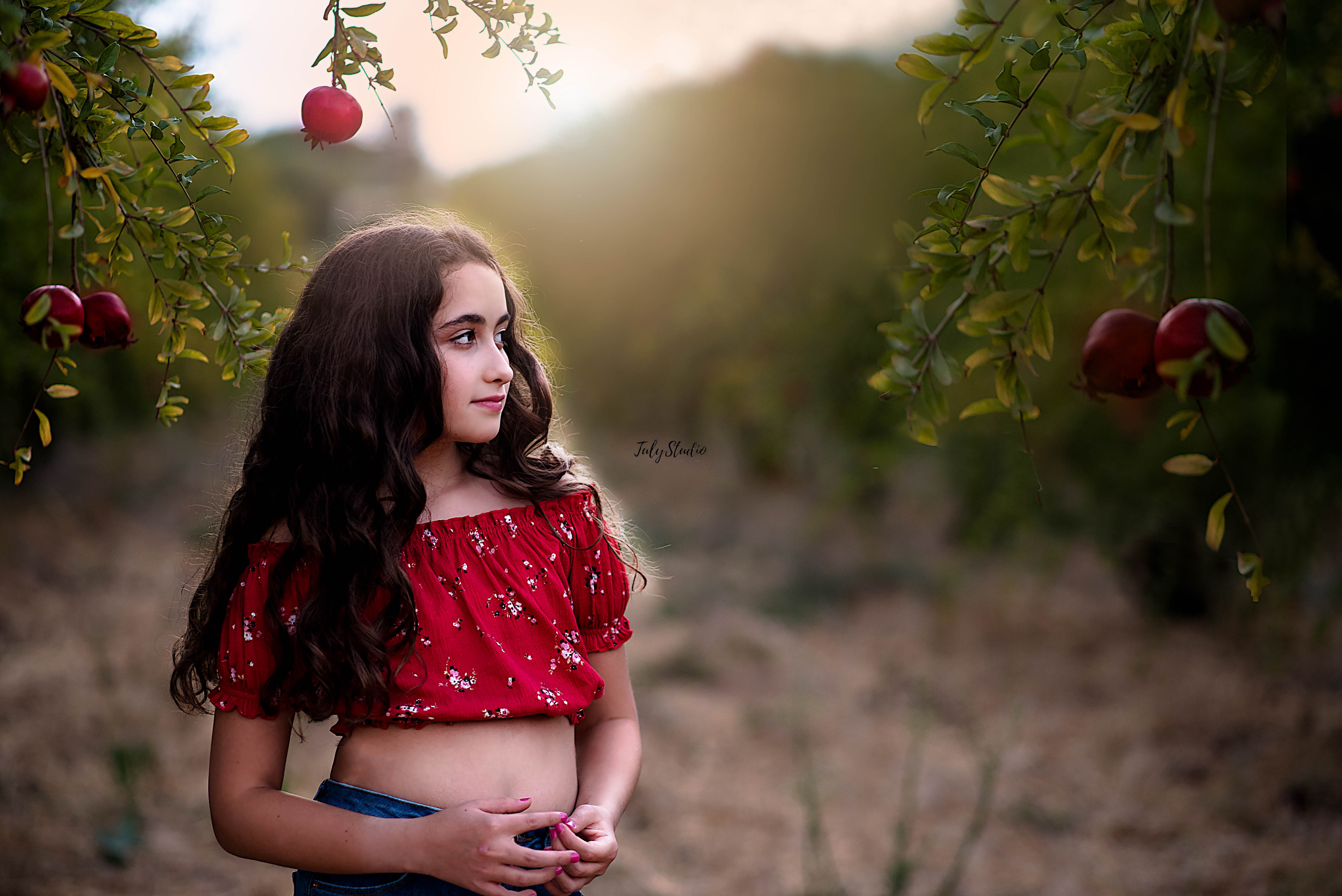 Entry 229002 in Portfolio by טולי סטודיו