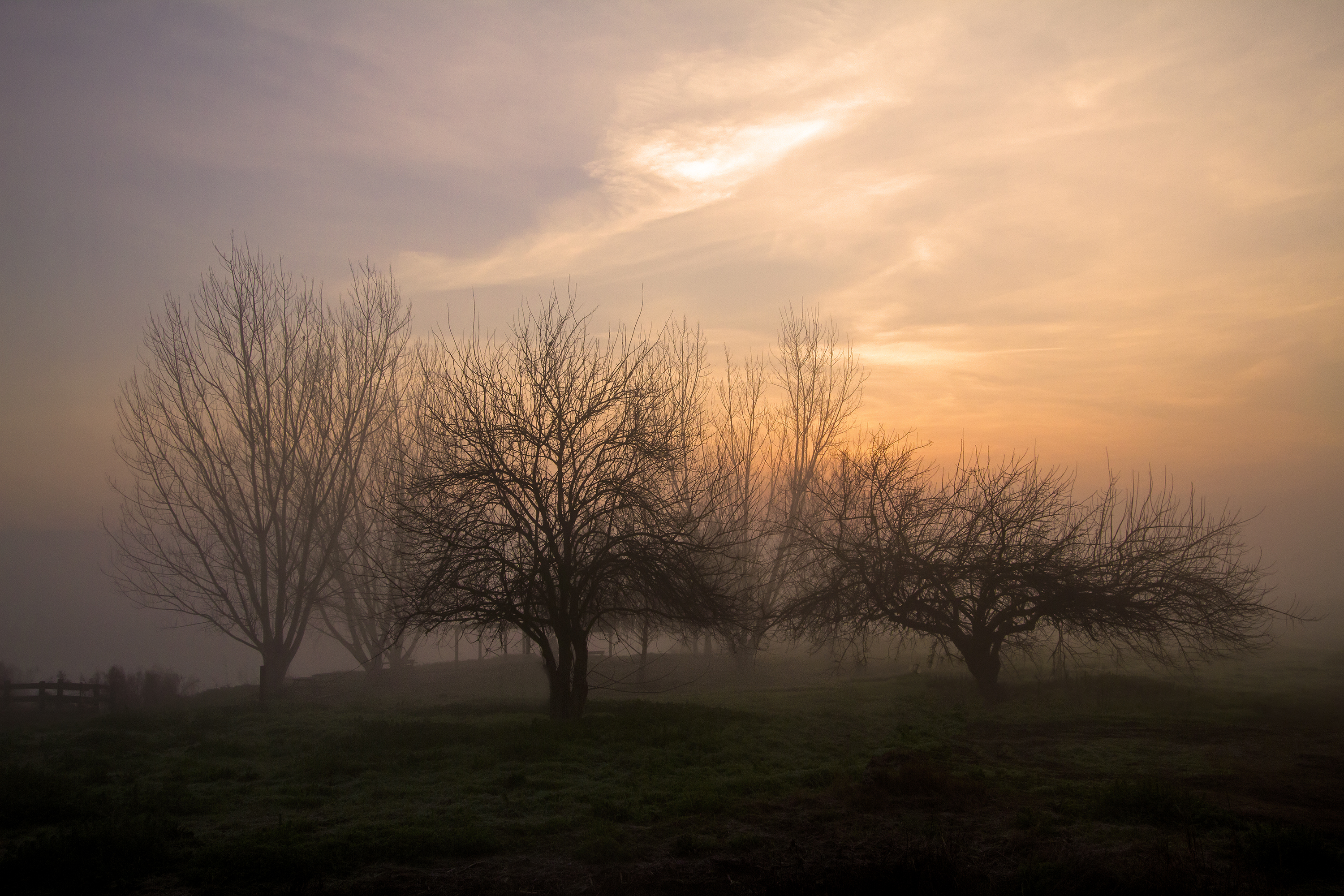 Entry 209455 in Portfolio by Udi Dror Photography