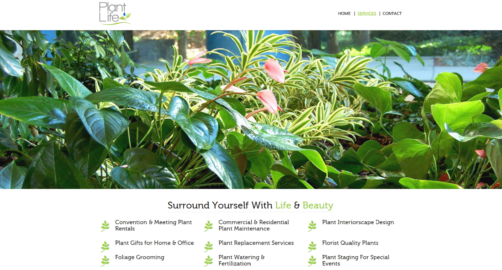 Entry 79402 in Portfolio by Seltek Consulting