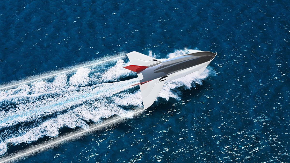 Entry 156969 in (2012) Redesign of a Commercial Aircraft for 2030 by Design Shabtai