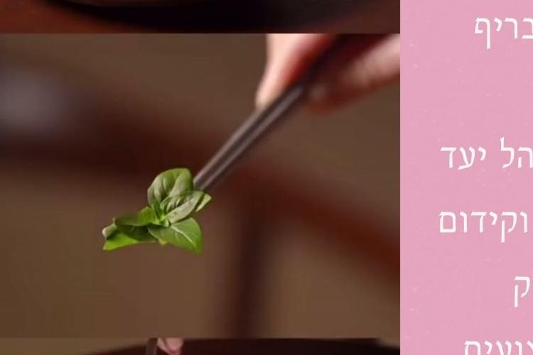 XPlace פרילנסרים | עבודה מהבית לפרילנסר ועבודות פרילנס לפרילנסרים