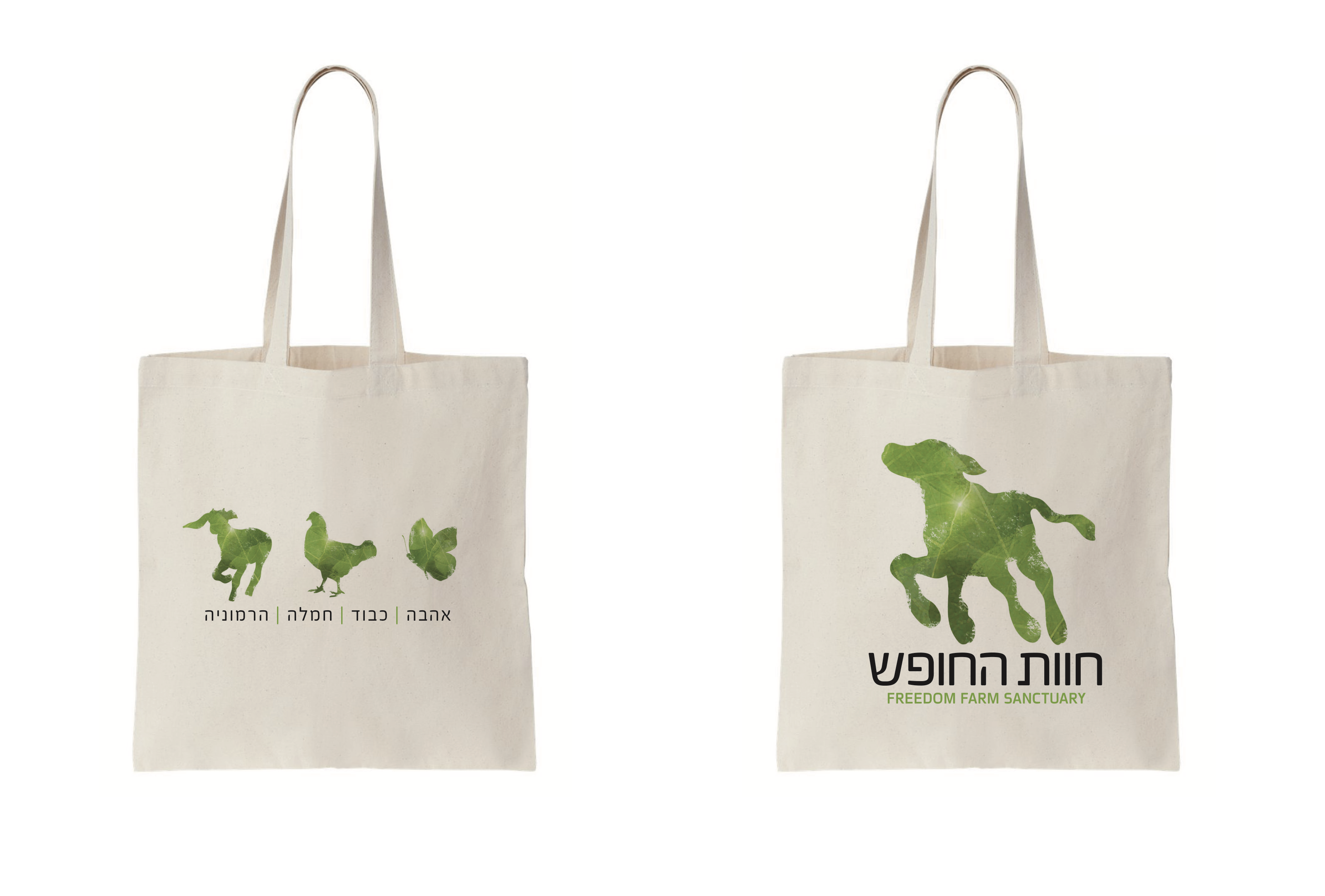 Entry 307538 in Portfolio by שרון כהן