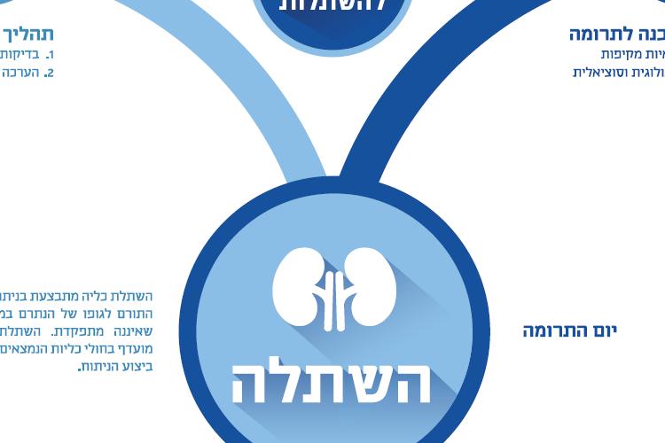 Open Zoomed Related Entry מדריך-לתורם-כליה-מן-החי-תורם-חי-תורם-כליה-מן-הח...