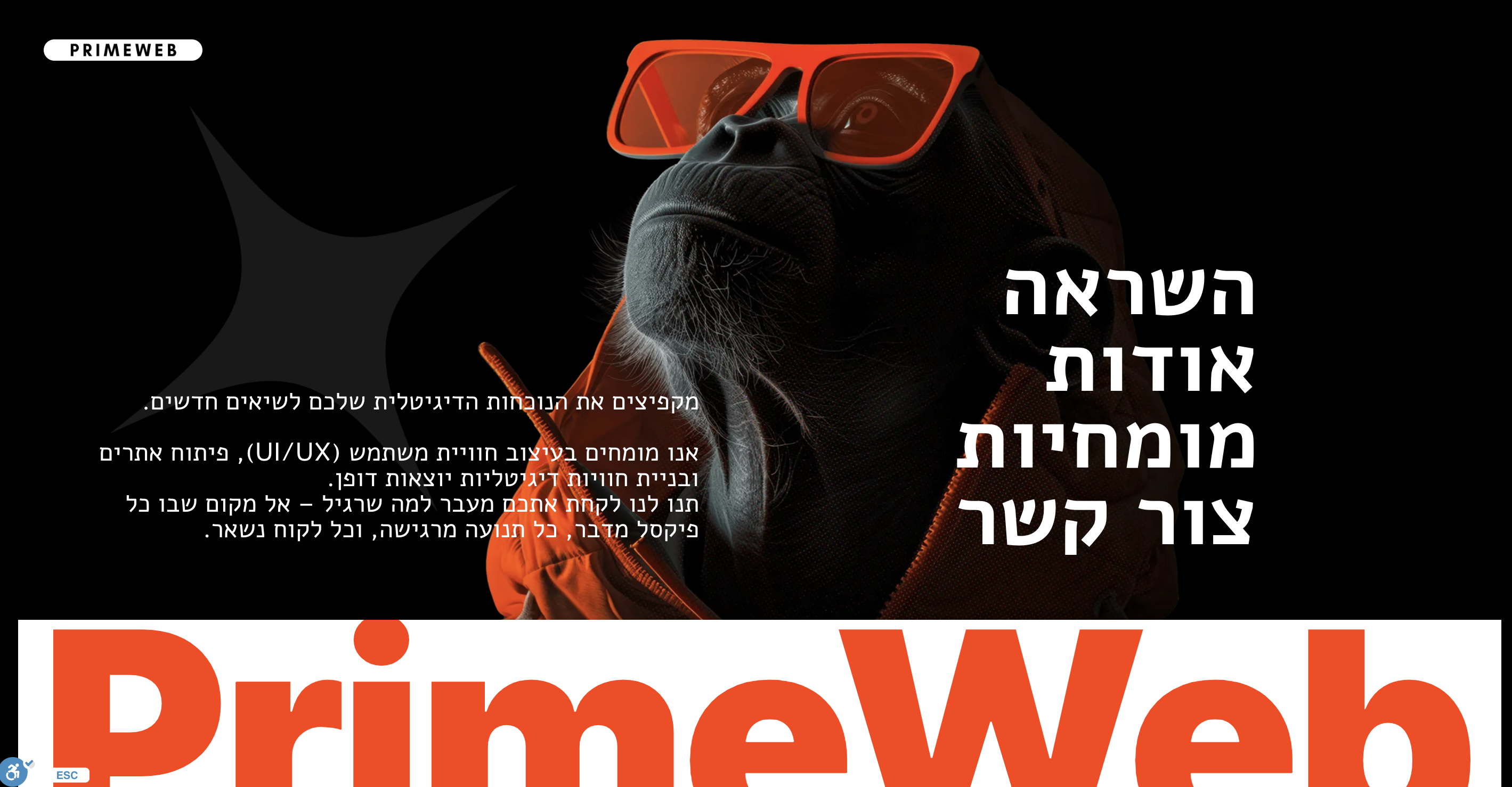 Entry 336381 in Portfolio by l Primeweb פריים ווב