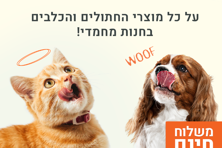 Open Zoomed Related Entry סטורי-2(1).png